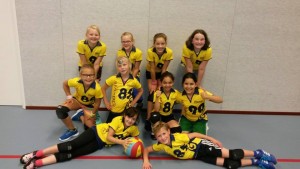 Mini's Niveau 3-4 2015-2016